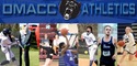 One hundred twenty-two DMACC student-athletes earn fall all-region academic honors