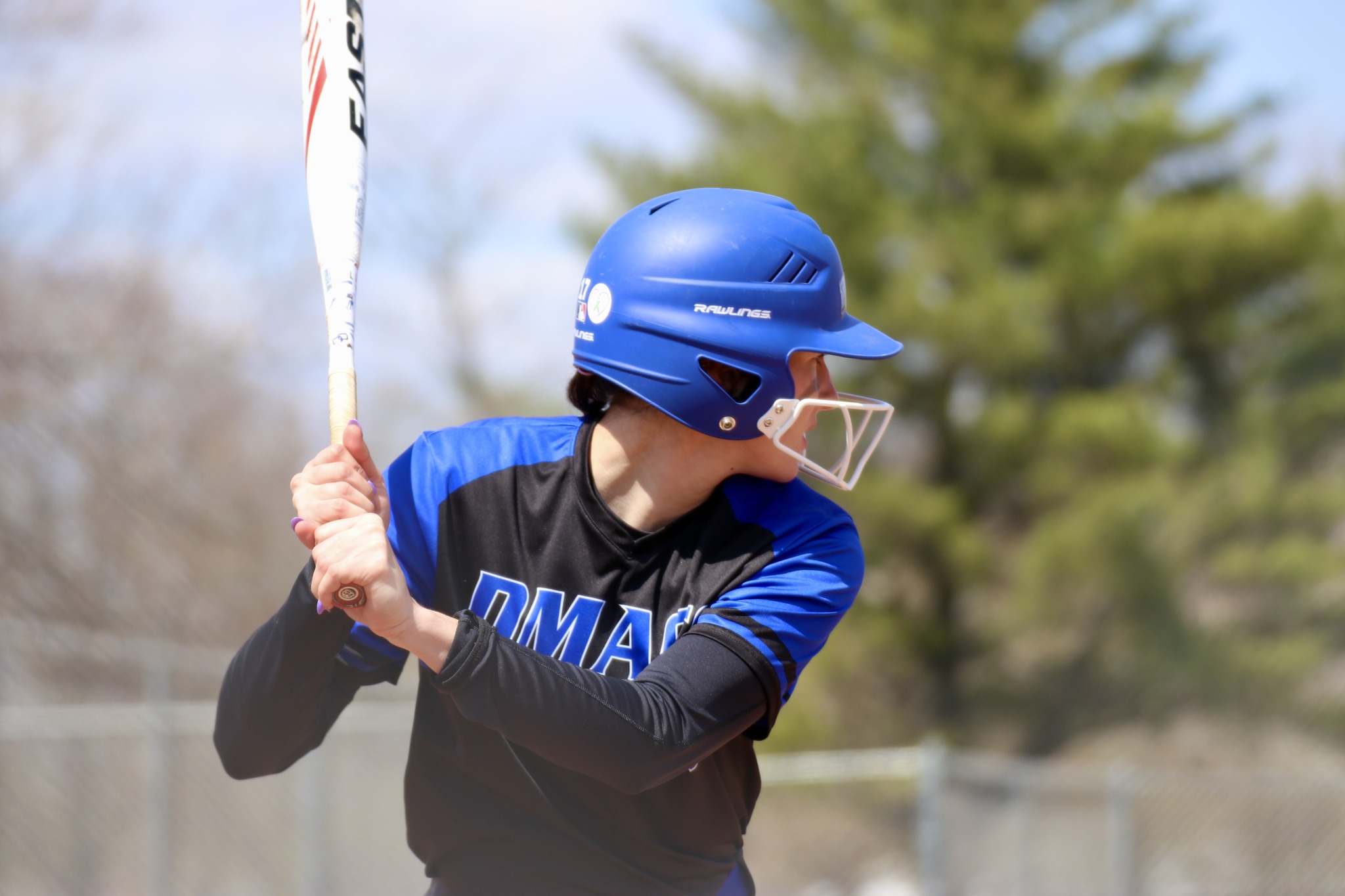 DMACC softball takes doubleheader from Iowa Western